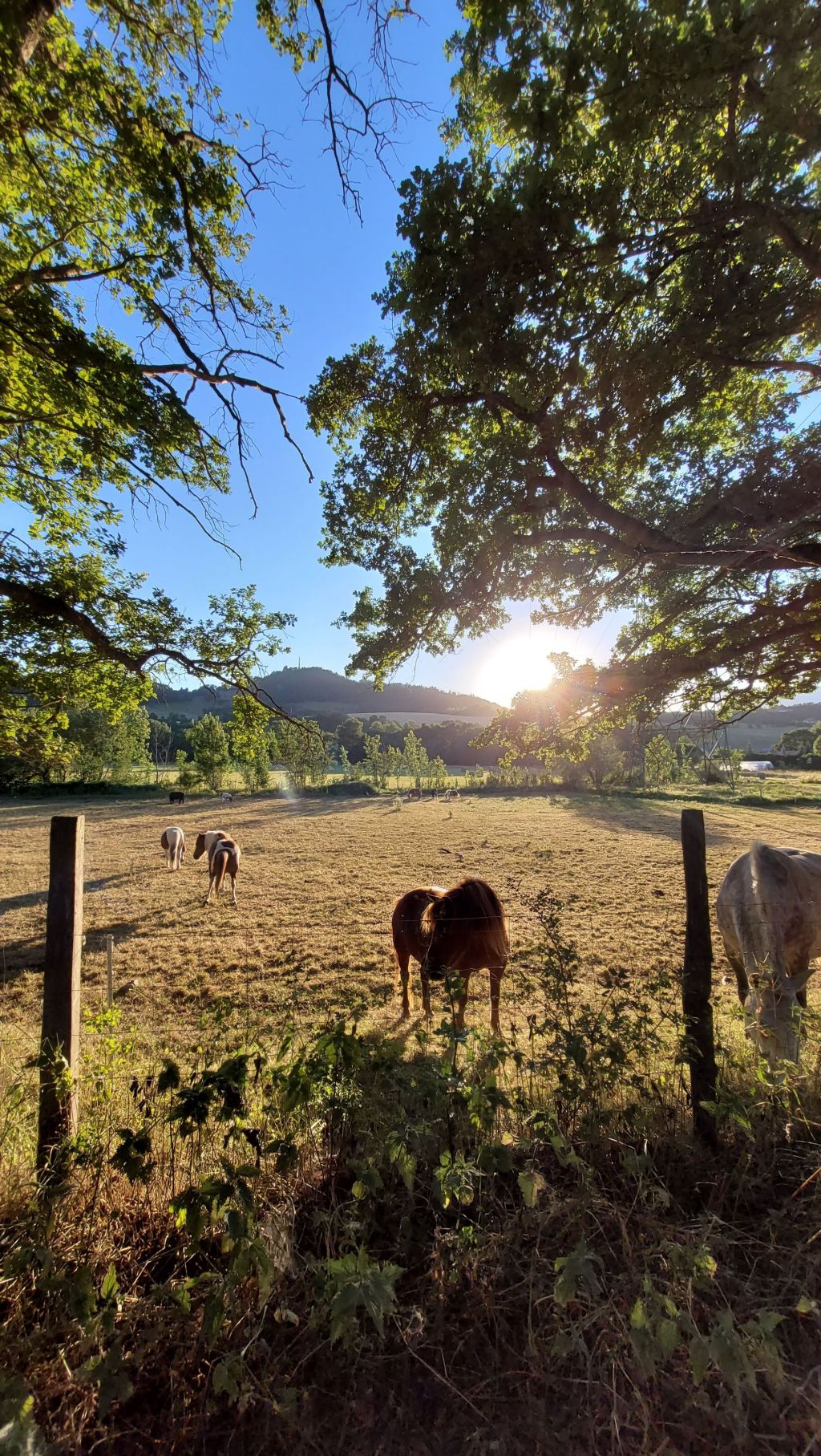 Acroyoga in a French Village: My 10-Day Retreat with&nbsp;Strangers